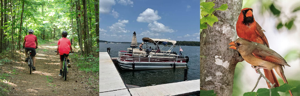 Lakeside Activities